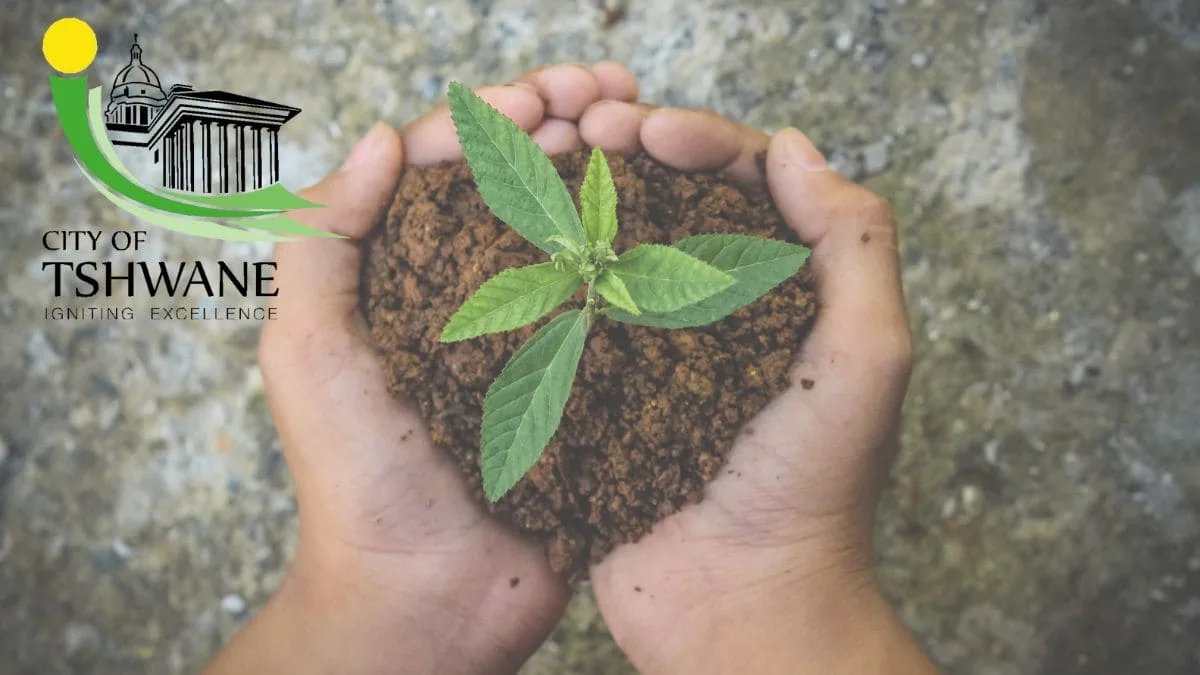 Vacancies in the City of Tshwane for Environment & Agriculture Management
